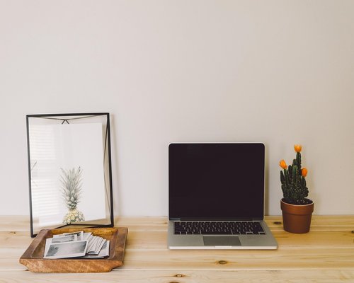 A clean home office setup with a plant and natural light
