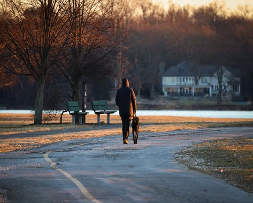 Person taking a walk in a residential neighborhood park during evening